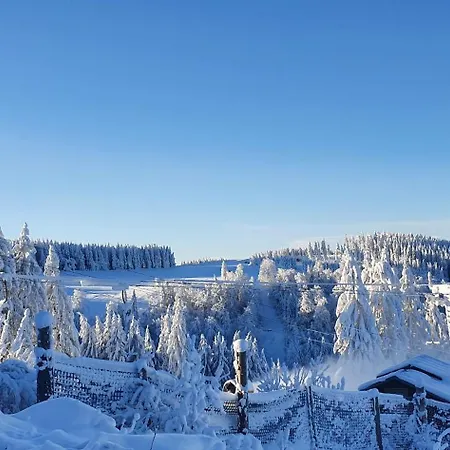 Haus Schneider Appartement Winterberg Buitenkant foto
