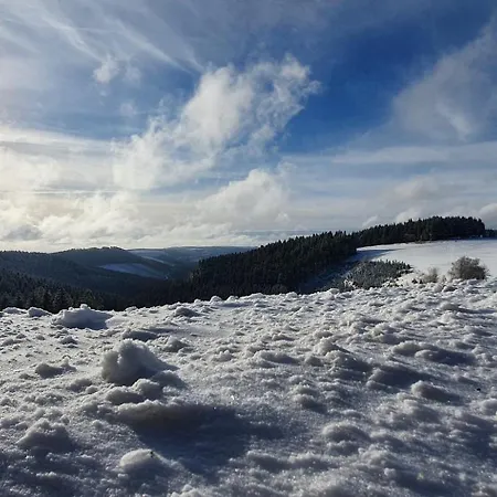 Haus Schneider Appartement Winterberg Buitenkant foto