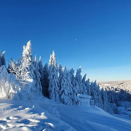 Haus Schneider Appartement Winterberg Buitenkant foto
