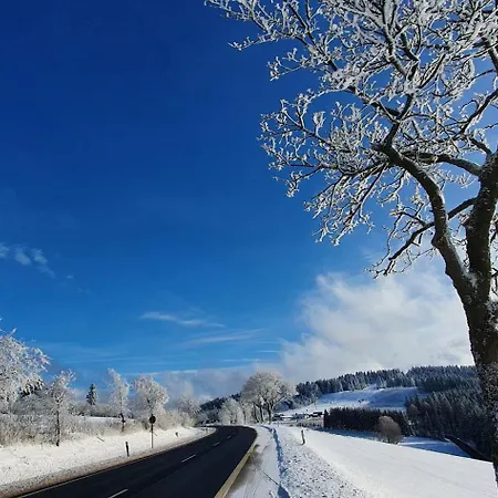Haus Schneider Appartement Winterberg Buitenkant foto