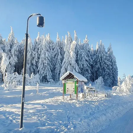Haus Schneider Appartement Winterberg Buitenkant foto