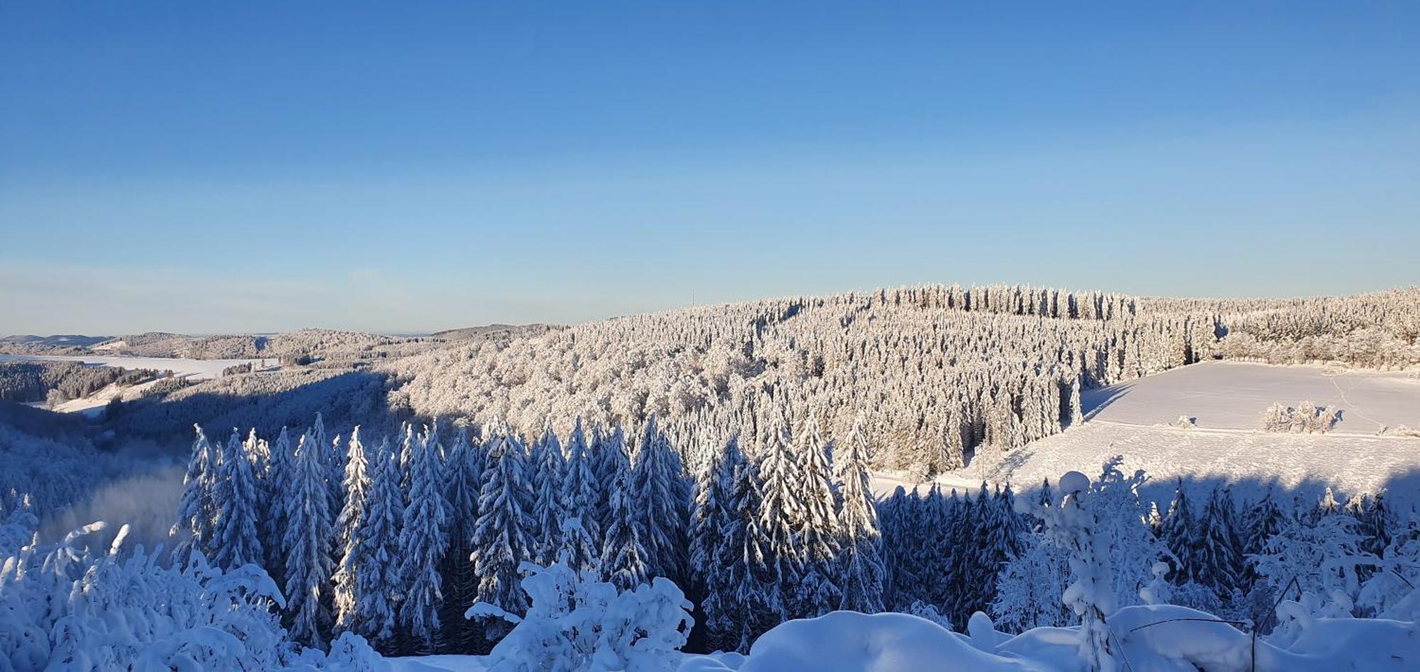 Haus Schneider Winterberg